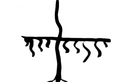 arbol-llorando